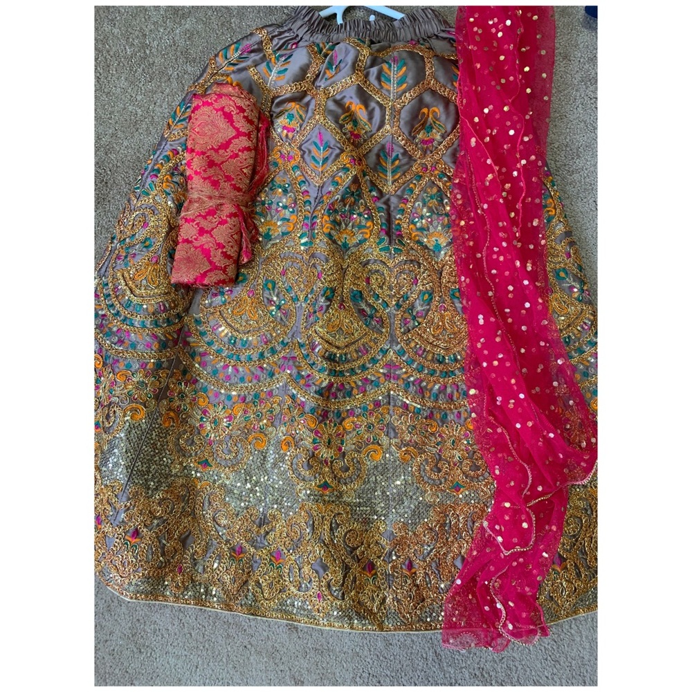 Pakistani Indian girl dress